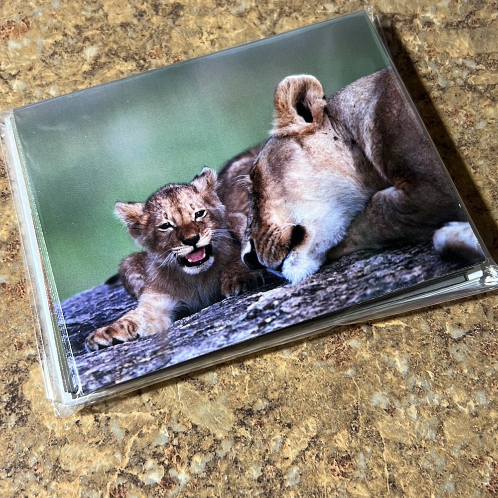Lion and Baby Cub Blank Folded Note Cards. Set of 10